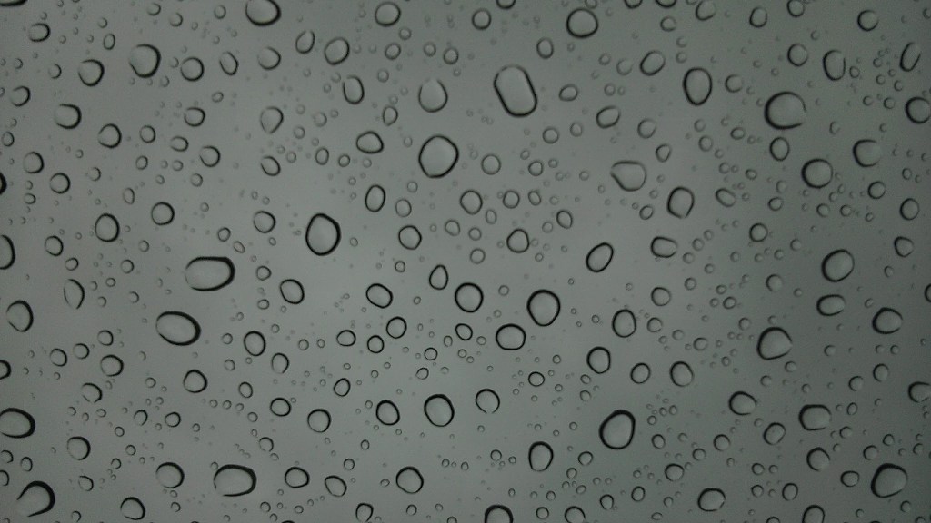 Imposter Syndrome in Veterinary&nbsp;Medicine