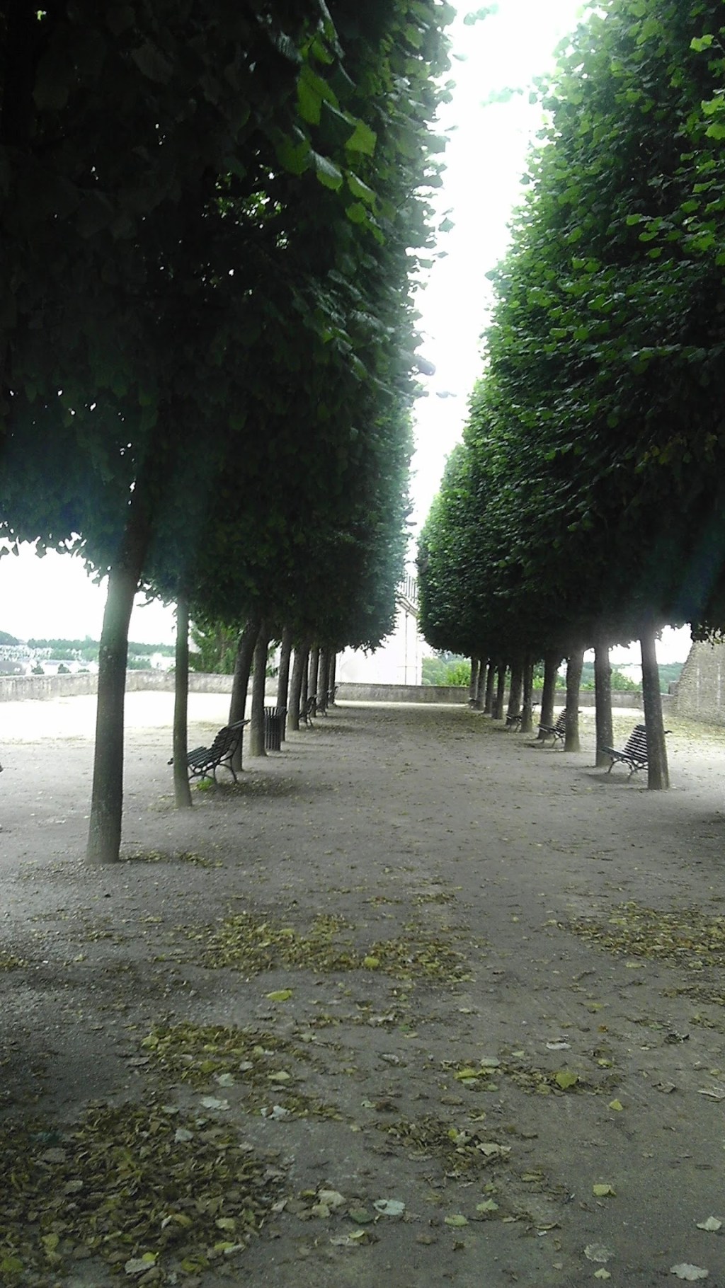 How 5.5” Ruined My&nbsp;Day