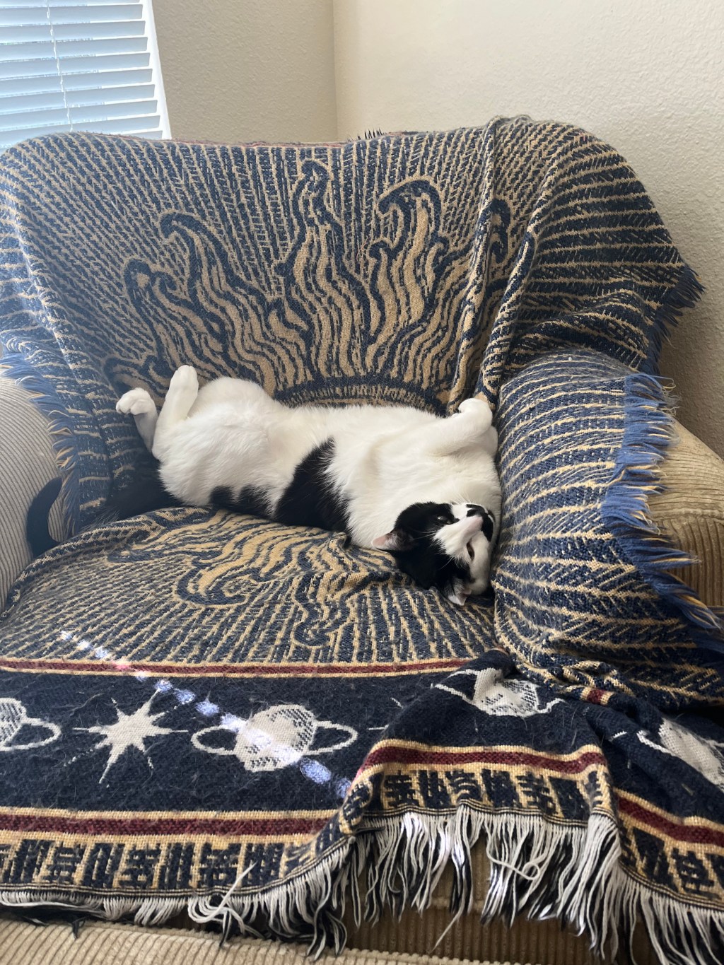 Quarter-Life Crisis?