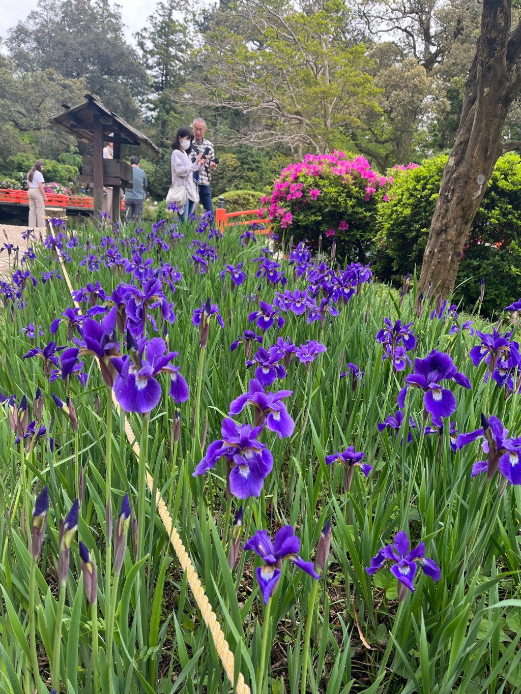 Rhetorical Criticism of Malala Yousafzai’s Nobel Peace Prize Acceptance&nbsp;Speech