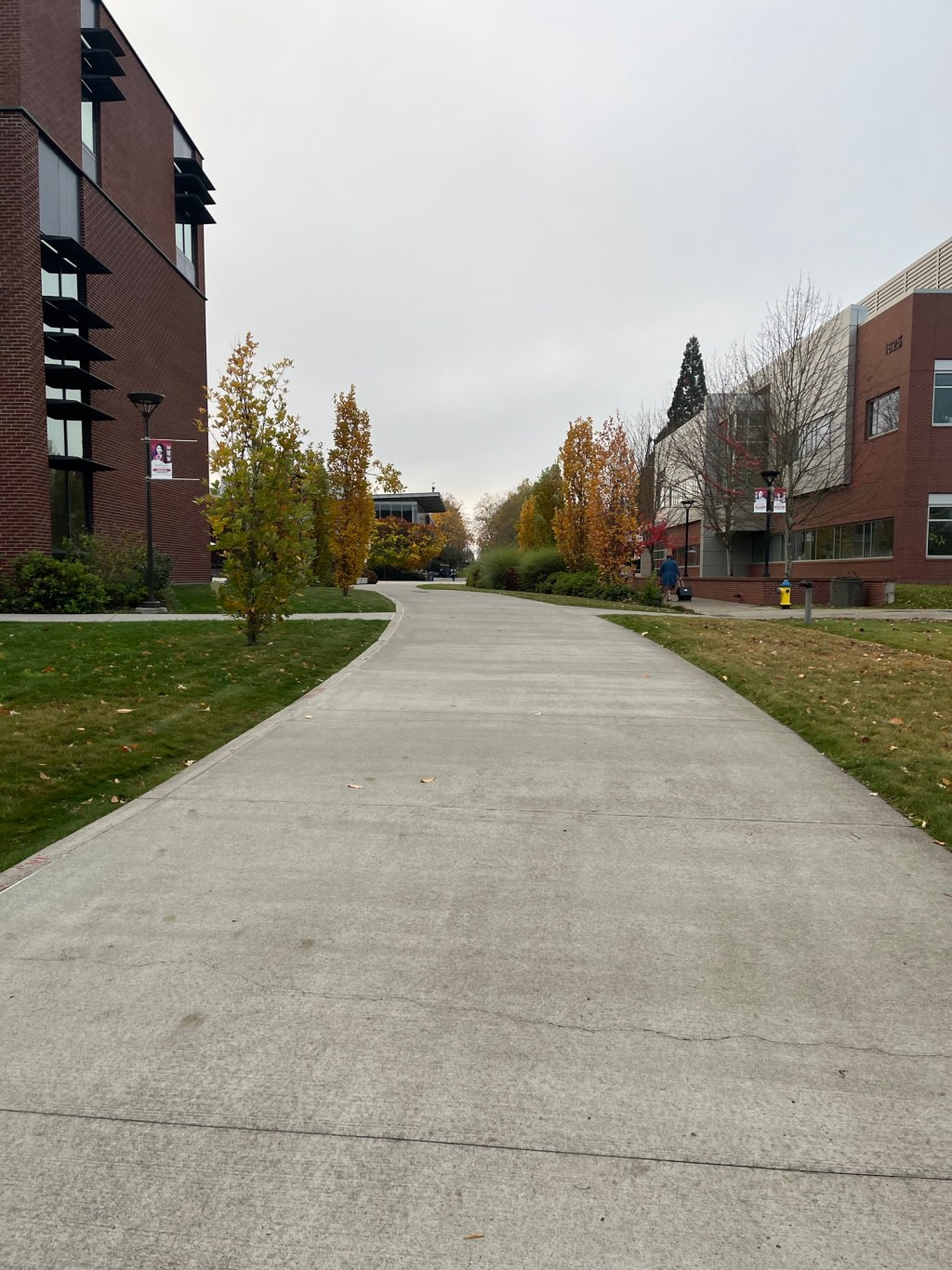 Find You Van&nbsp;Gogh