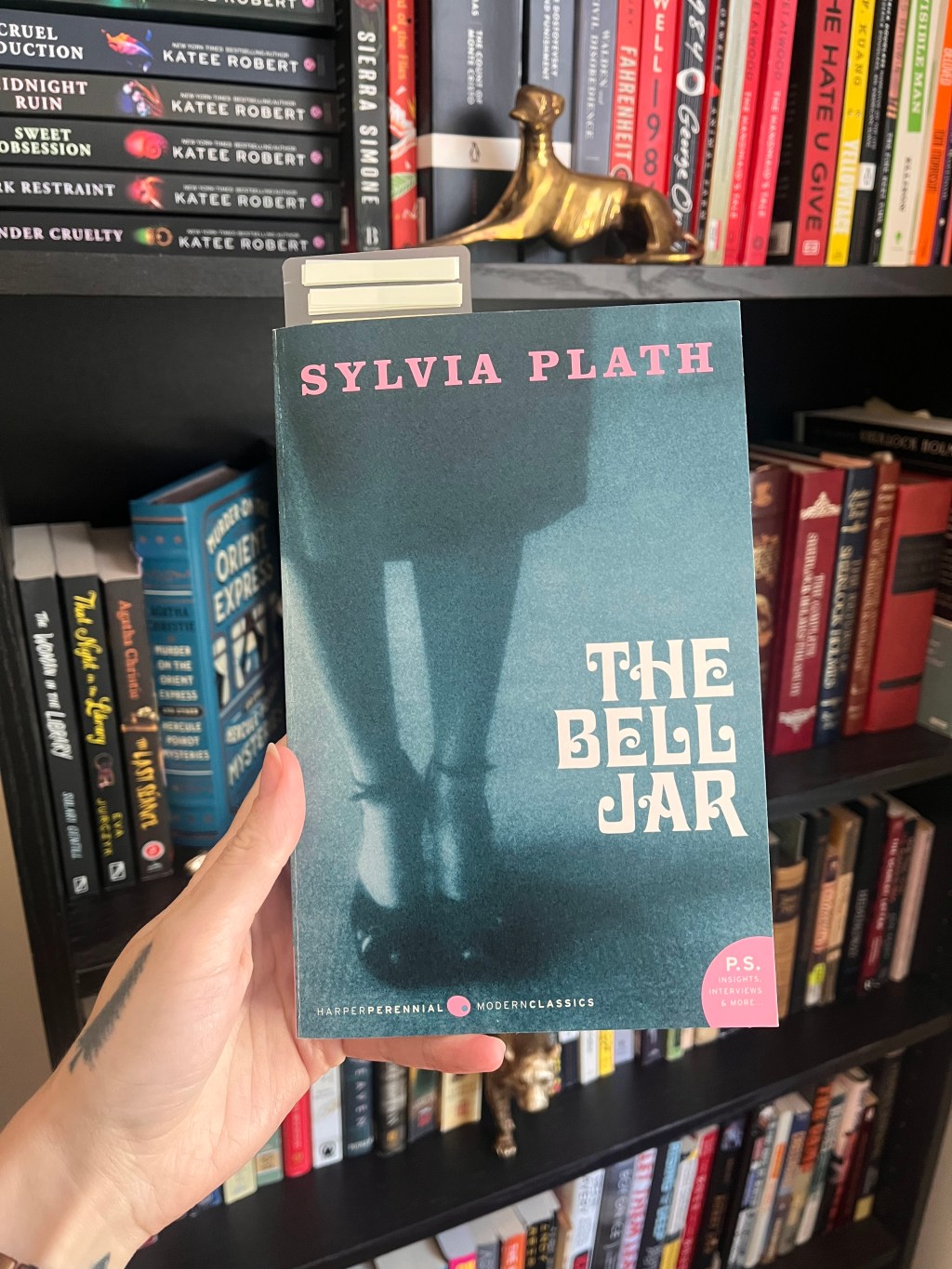 Introduction to Literature- Sylvia&nbsp;Plath